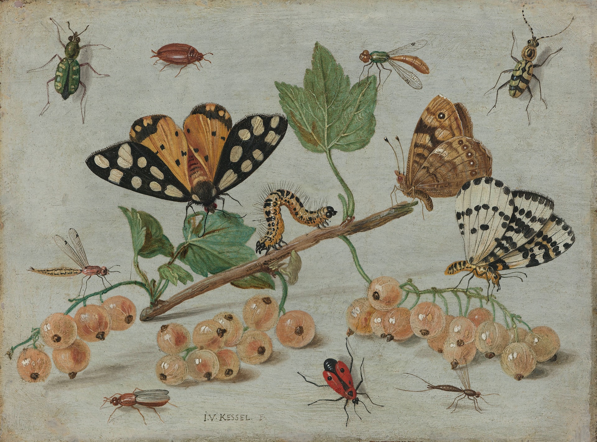 Michael Cook Insect The Joy of Cooking Insects - National Food Museum