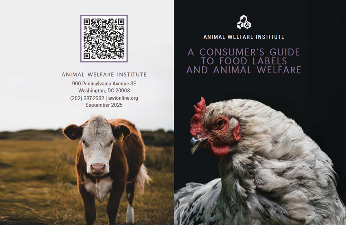 Animal Welfare Institute's "A Consumer's Guide to Food Labels and Animal Welfare" featuring a cow and chicken.