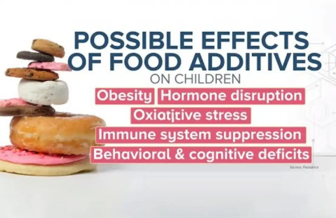 Food additives effects on children: Obesity, hormone disruption, oxidative stress, immune suppression, behavioral deficits.