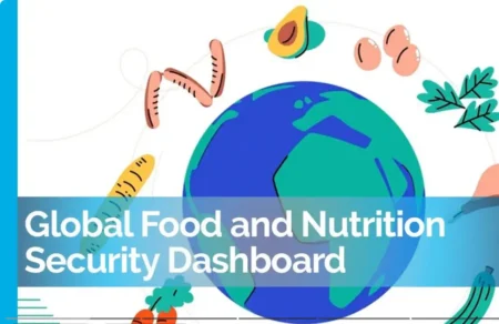 Global Food and Nutrition Security Dashboard graphic with Earth and food illustrations.