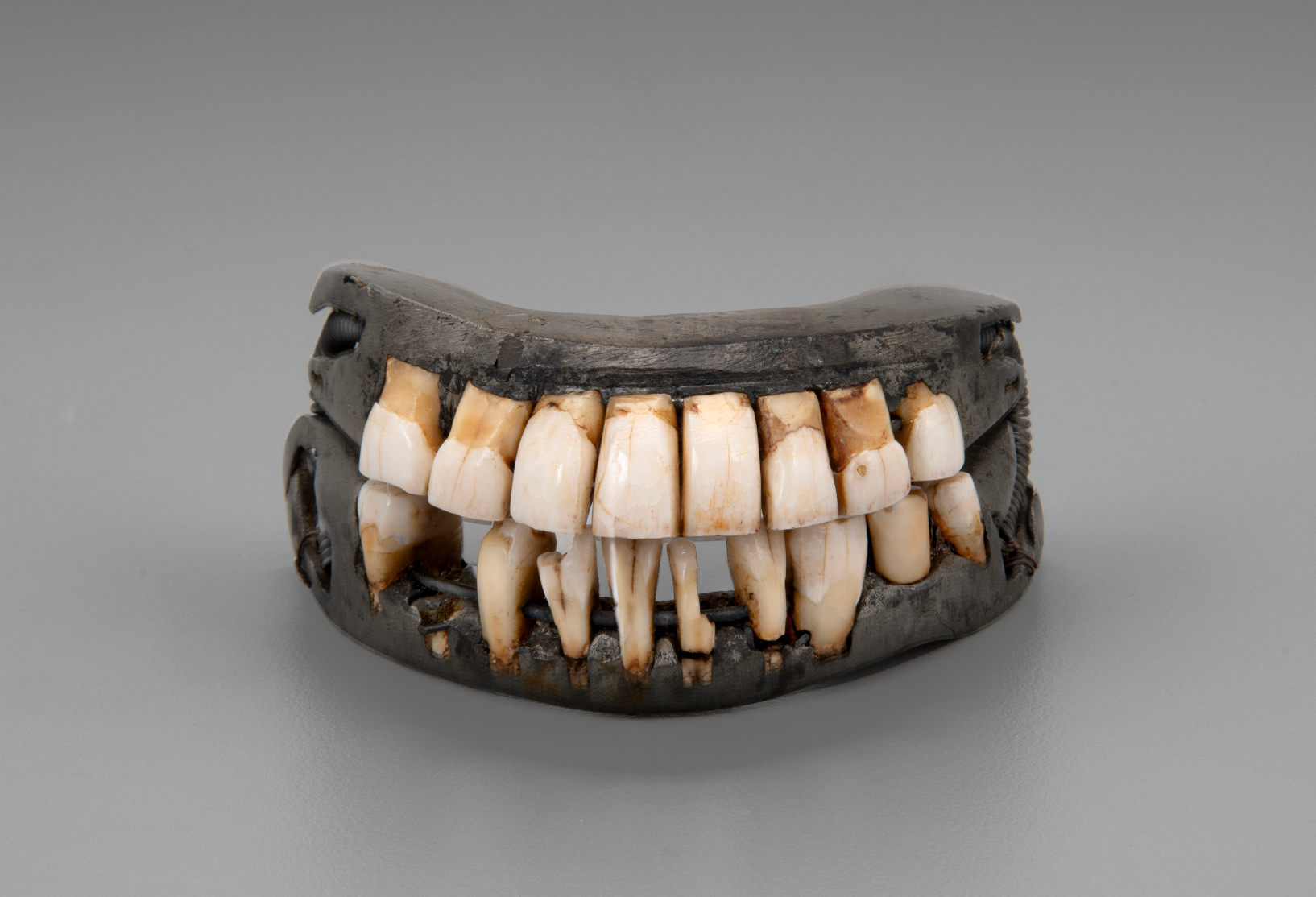 Replica of John Adams' dentures with human teeth