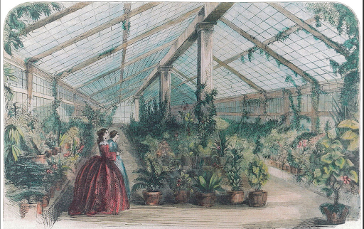 Victorian greenhouse interior with two women admiring plants.