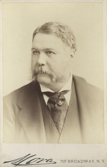 Formal portrait of Chester A. Arthur, 21st U.S. President, with photographer's mark "Mora, 707 Broadway, N.Y.