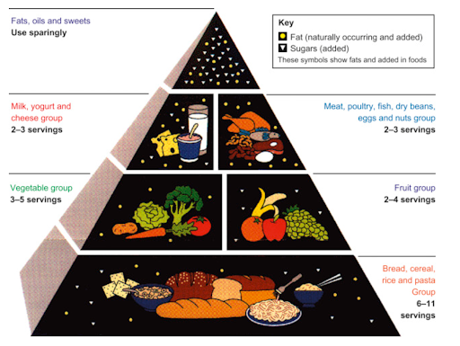 Food pyramid from the 1990s showing food groups and serving recommendations