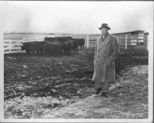 Dwight D. Eisenhower in a trench coat on a cattle farm.